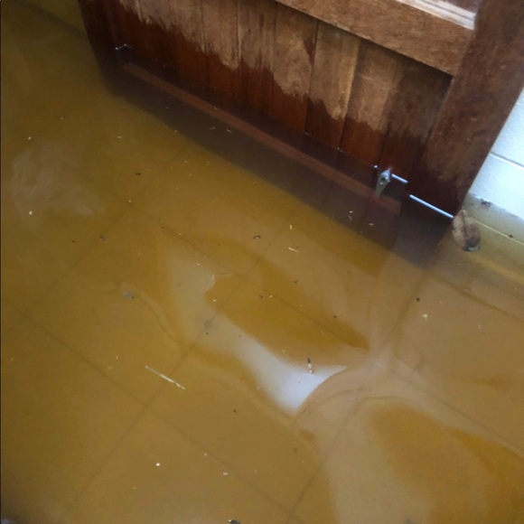 ♡ Australian Spell Sale for Flood Victims! ♡ - Picture 11 of 14